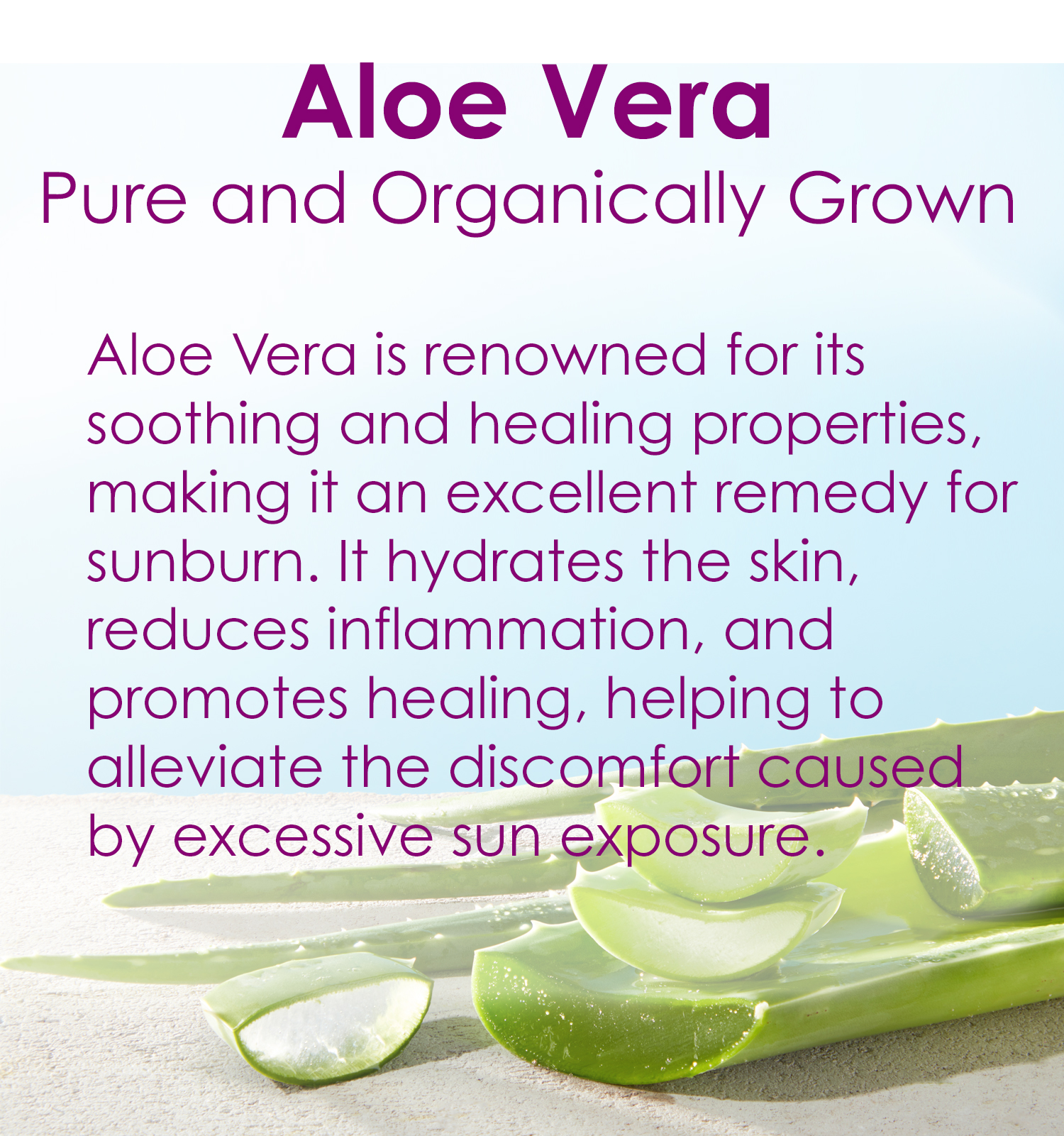 Aloe Vera Benefits