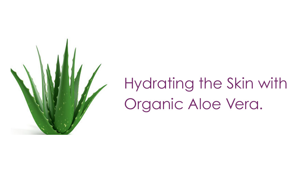 Aloe Perrin Naturals.jpg