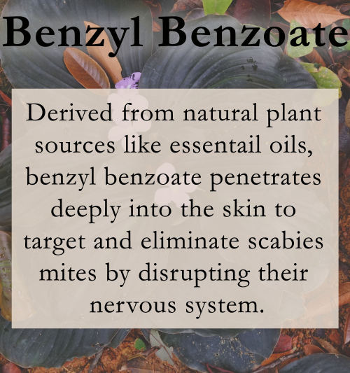 Benzyl Benzoate for Scabies