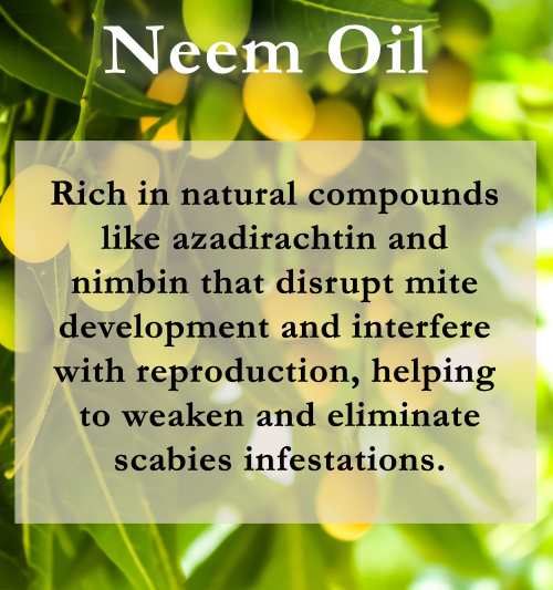 Neem Oil for Scabies